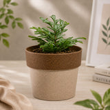 Wooden Desk Gift Set - Giftana
