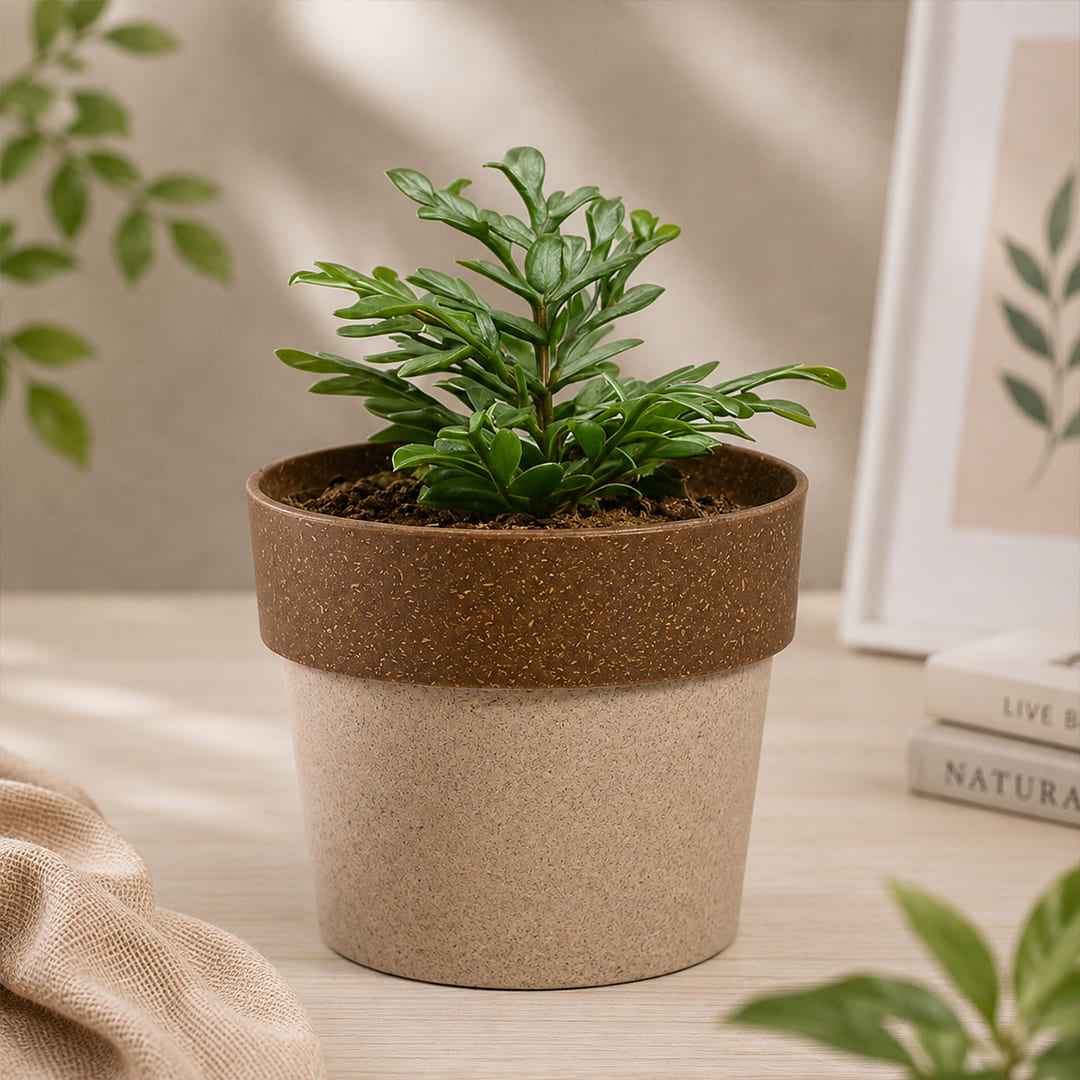 Wooden Desk Gift Set - Giftana