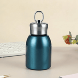 Premium 300ml Portable Steel Flask Bottle with Handle