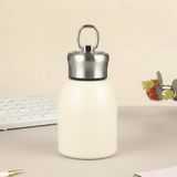 Premium 300ml Portable Steel Flask Bottle with Handle