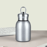 Premium 300ml Portable Steel Flask Bottle with Handle