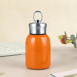 Premium 300ml Portable Steel Flask Bottle with Handle
