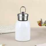 Premium 300ml Portable Steel Flask Bottle with Handle