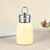 Premium 300ml Portable Steel Flask Bottle with Handle