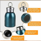Premium 300ml Portable Steel Flask Bottle with Handle