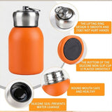 Premium 300ml Portable Steel Flask Bottle with Handle