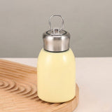 Premium 300ml Portable Steel Flask Bottle with Handle